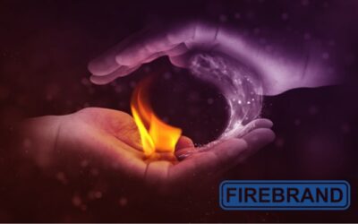 Property Risk Survey Report